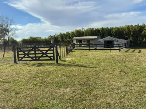   VENTA | 36 Hectáreas con Casco de Estancia en San Antonio de Areco  