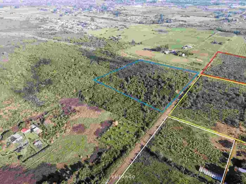 3 hectáreas en venta en Paso de la Arena.