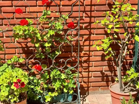 Departamento en Venta 30 años