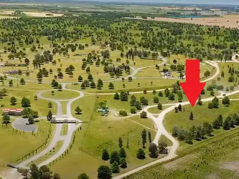 Terreno en Venta de 1029,0 m2