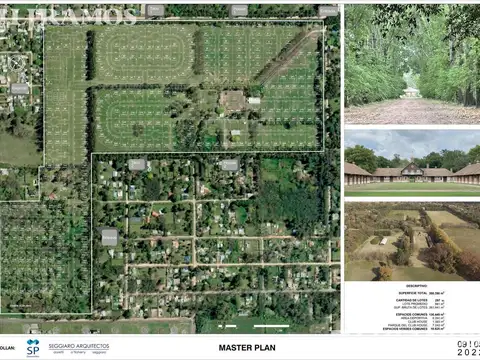 Almahue, La Lonja, Pilar