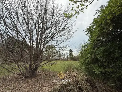 Terreno en Venta de 4179,0 m2