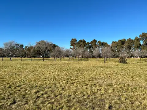 Terreno en Venta 28  mts Fondo