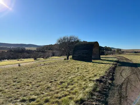 Q6XP+R8 Saldungaray, Buenos Aires Province, 100