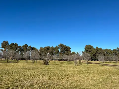 Q6XP+R8 Saldungaray, Buenos Aires Province, 100