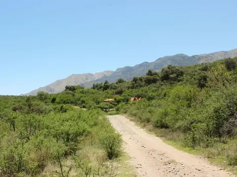 TERRENOS