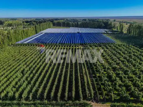 CHACRA PRODUCTIVA DE 19 HECTAREAS - FRENTE DE RUTA