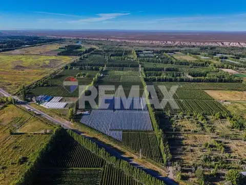 CHACRA PRODUCTIVA DE 19 HECTAREAS - FRENTE DE RUTA