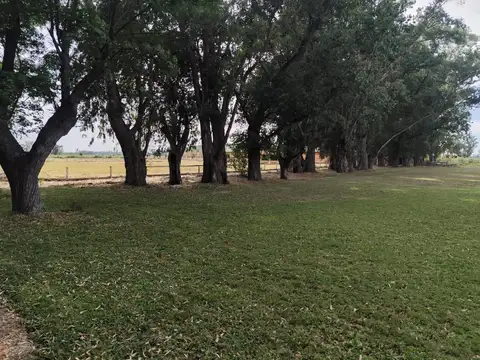 Alquiler de Campo/ Haras para actividad de Salto, equitación y polo,50 ha, Las Heras, Buenos Aires.