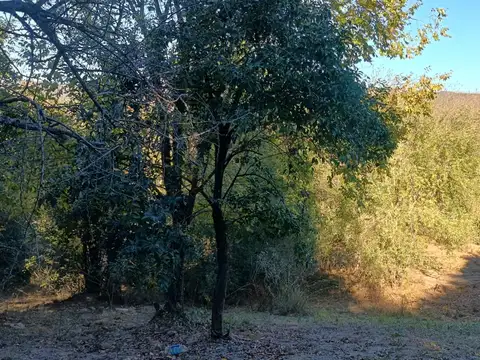 Terreno en Venta de 2706,0 m2