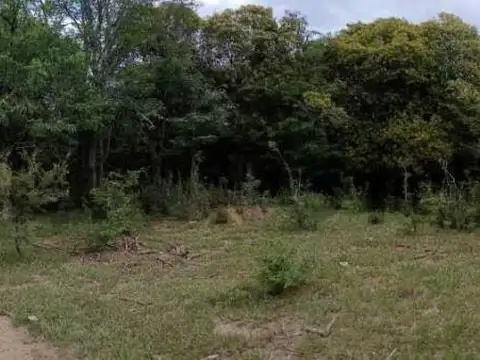 Excepcional Fracción de 5 Hectáreas con 500 m de Costa de Río – Ideal Desarrollo Turístico o Chacra