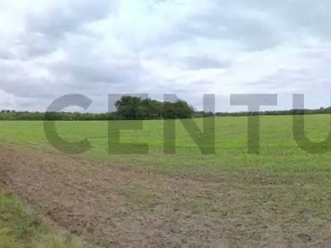 Campo en Venta de 5  ha