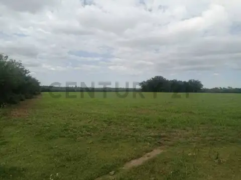 costanera , Piso 0