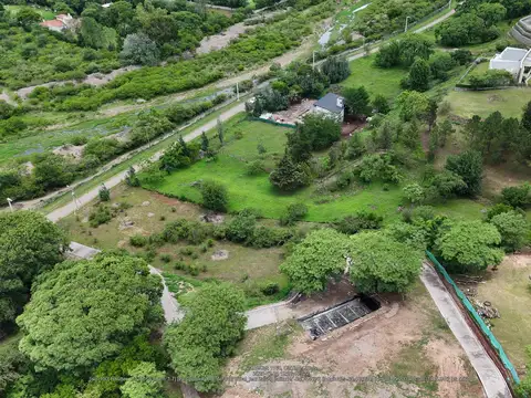 C. Los Chalchaleros 100