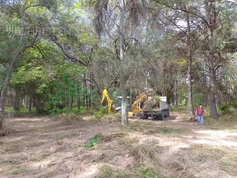 Terreno en Venta 40  mts Fondo