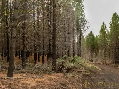 Terreno en Venta de 805,0 m2