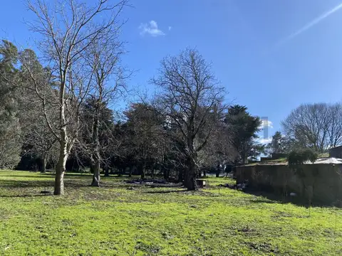 bordeu 2800, Piso 0