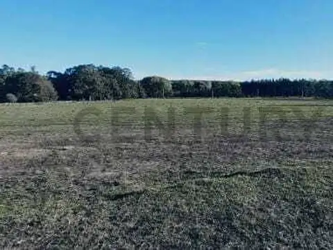 VENTA CAMPO 10 HECTAREAS SIERRA DE LOS PADRES ESCUCHO OFERTA RAZONABLE