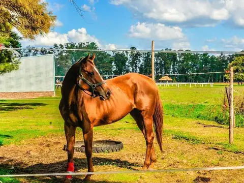 Terreno en Venta en Villa Ruiz, USD 30.000