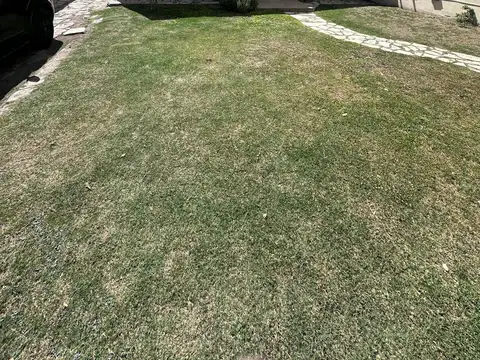 VILELA 100