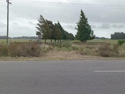 HECTAREAS  EN VENTA-VERÓNICA - PUNTA INDIO (25Ha)