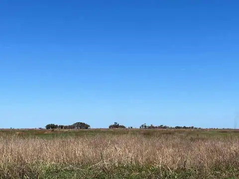 Terreno en venta - 987 Hectáreas - Victoria, Entre Ríos