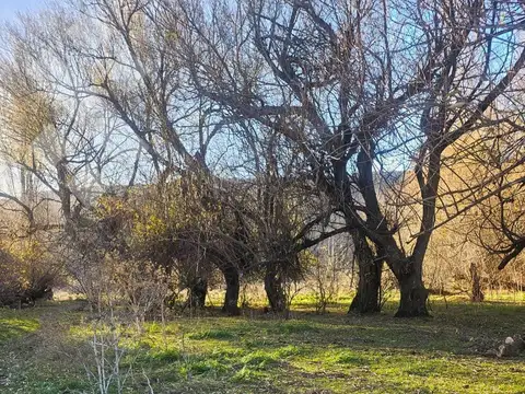 Venta campo 2,5 Has - Vega San Martin - San Martin de los Andes
