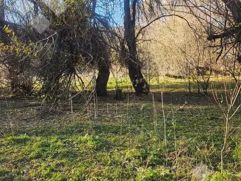 Venta campo 2,5 Has - Vega San Martin - San Martin de los Andes