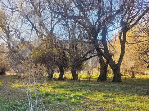 Venta campo 2,5 Has - Vega San Martin - San Martin de los Andes