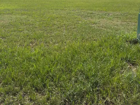 Terreno en Venta en Colonia Adela, USD 20.000