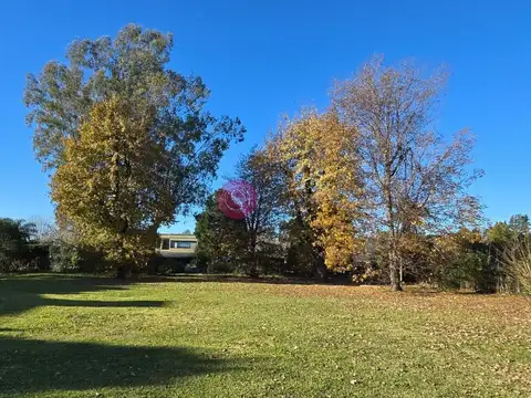 Haras del pilar la pradera 100