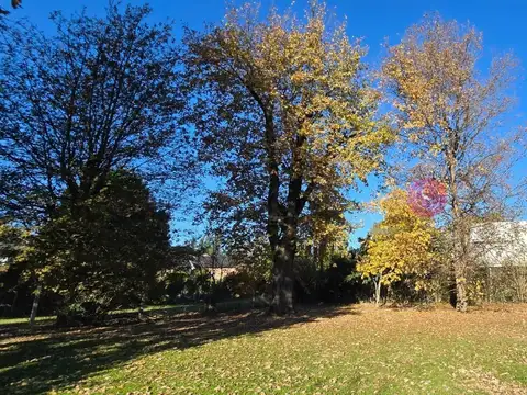 Terreno en Venta de 800,0 m2