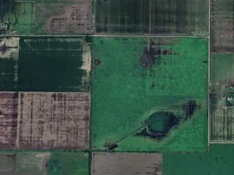 Campo de 109has en Irigoyen