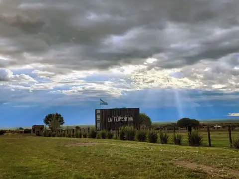 VENDO LOTE AMPLIO EN LA FLORENTINA-LA PUNTA-SAN LUIS