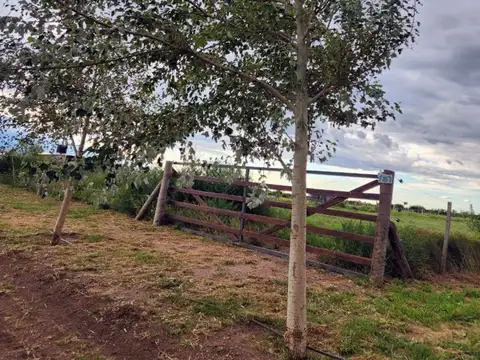 Autopista 25 de mayo km 9