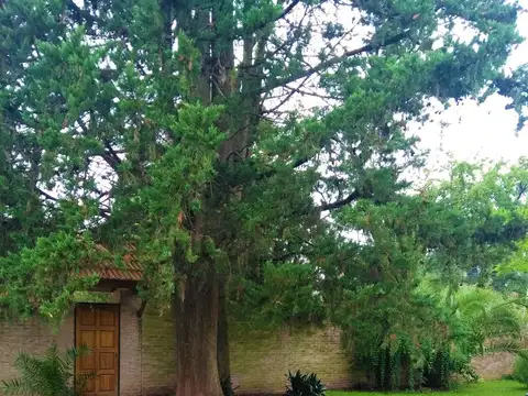 CHALET CON AMPLIO LOTE EN SAN MIGUEL, SOBRE CALLE LIBERTAD 1900