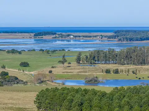 Chacra marítima de 11 hectáreas en la mejor loma de Altos de José Ignacio