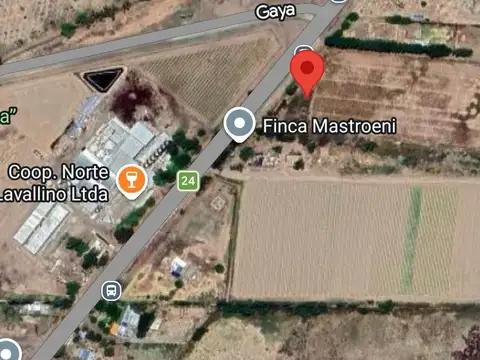 VENTA DE 70 HECTAREAS SOBRE RUTA 24, LAVALLE