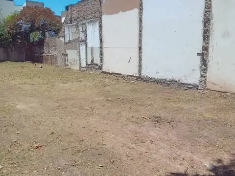 Constitución 300