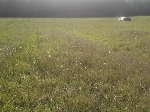 Venta De Lotes Listos Para Escriturar En Barrio San Eduardo