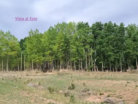 Terreno en Venta de 300,0 m2