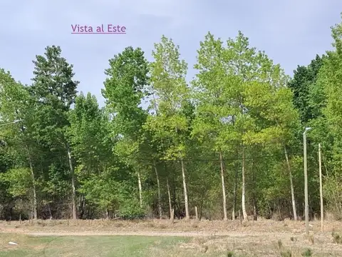 Terreno en Venta en Plottier, USD 12.900