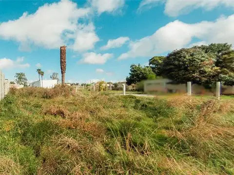 Terreno en Venta 14  mts Frente