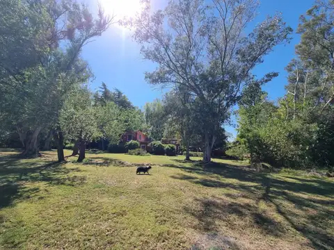 Villa Ruiz