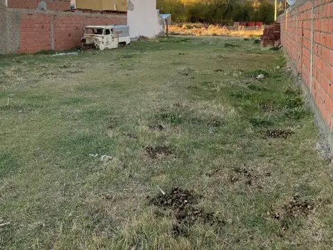 Terreno en Venta 37,50  mts Fondo