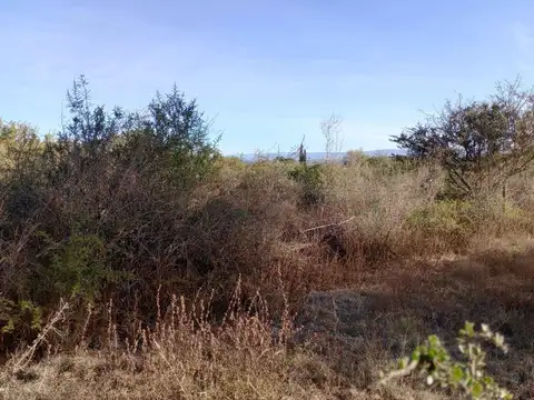 Camino Altos de San Pedro