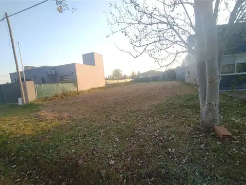 Lisandro de la torre al 3100 / Lote 387
