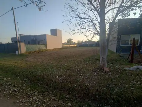 Terreno en Venta 12  mts Fondo