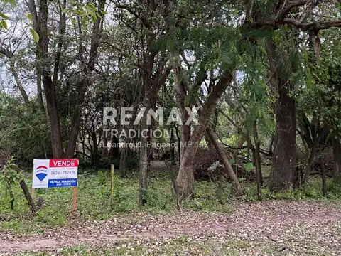 TERRENO - EN VENTA - COLONIA BENITEZ - 10.000 M2