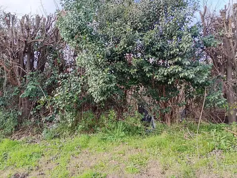 Terreno en Venta de 10200,0 m2